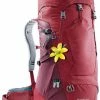 EQUIPMENT Women's Futura 28 SL By Deuter